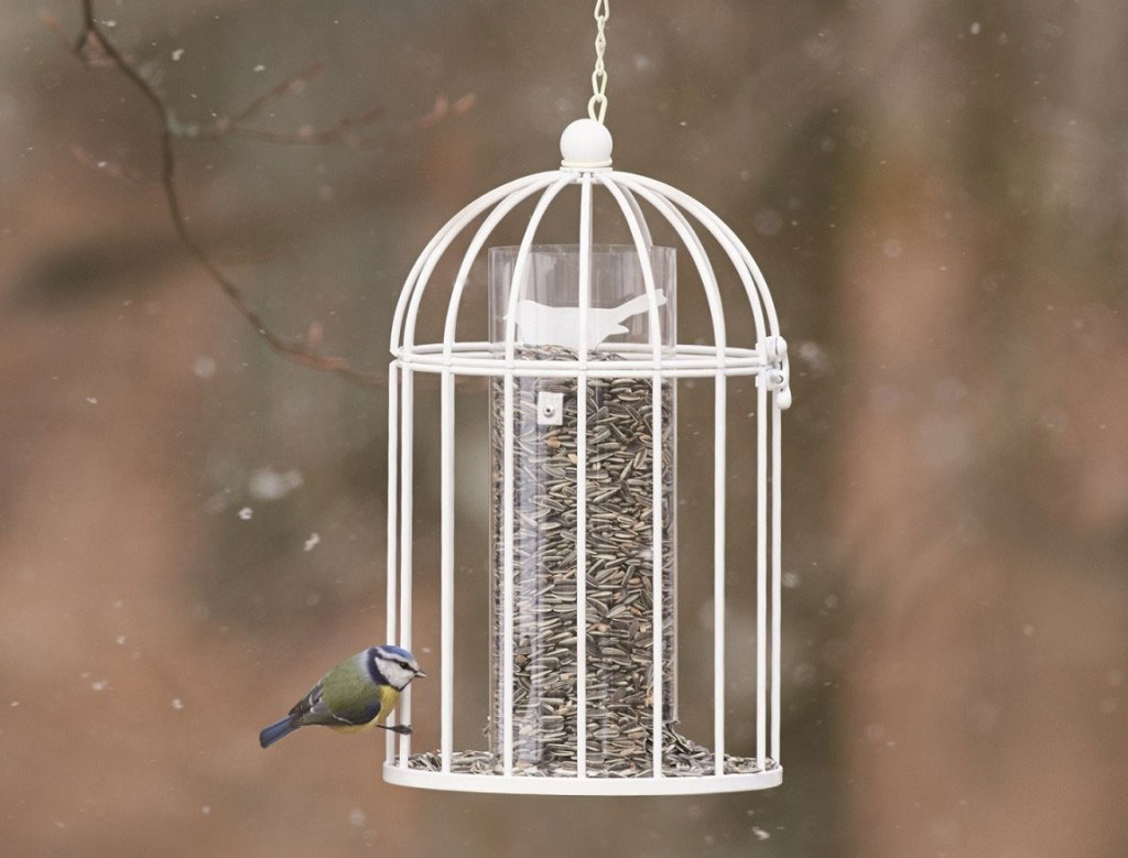 Fågelmatare med energirik mat har sin givna plats i en fågelvänlig trädgård.