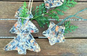 Egen hammagjord fågelmat - roligt pyssel på jullovet