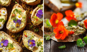 Ätbara blommor - penseer, tusensköna och buskkrasse.