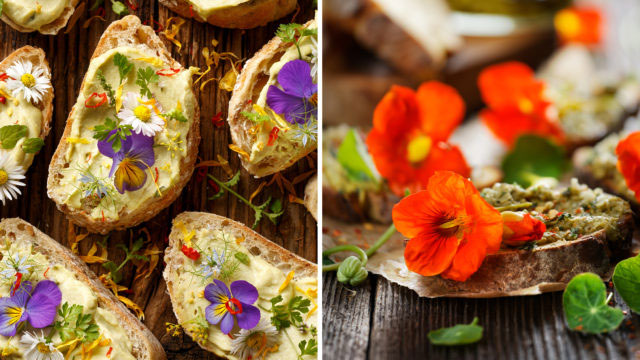 Ätbara blommor - penseer, tusensköna och buskkrasse.