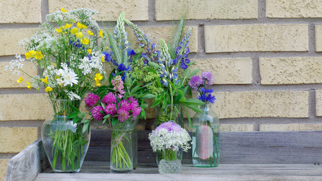 7 sorters blommor till midsommar