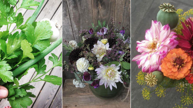 Vinnarna i årets #minsommarbukett.