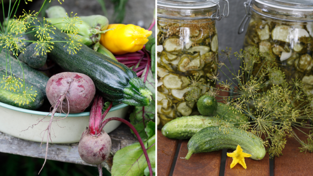 Använd rätt grönsaker till syrning