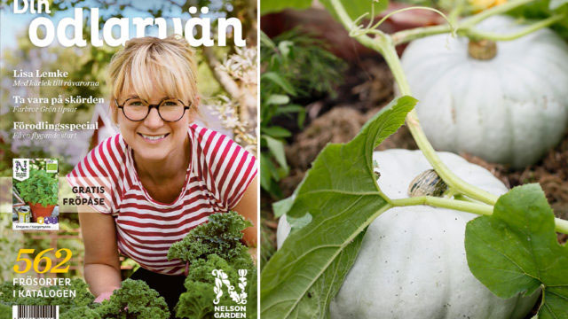 Lisa Lemke Foto: Emelie Otterbeck 'Nelson' F1 Foto: Annika Christensen