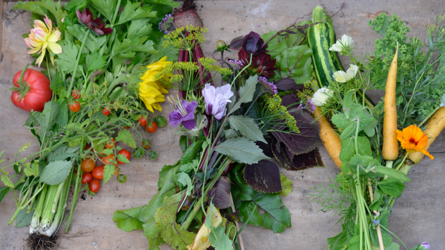 Trädgårdstrenderna 2018