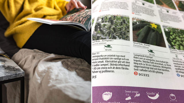 Vad betyder alla symboler i frökatalogen?