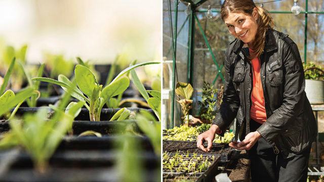 Jessica Lyon i sitt växthus. Foto: Lars Sjöberg