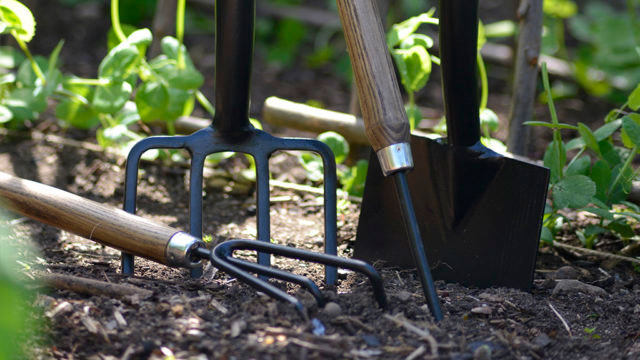 Kultivator, grep, maskrosjärn och spade. Foto: Markus Danielsson