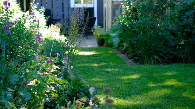 En tät växande gräsmatta ger det där stiliga uttrycket.