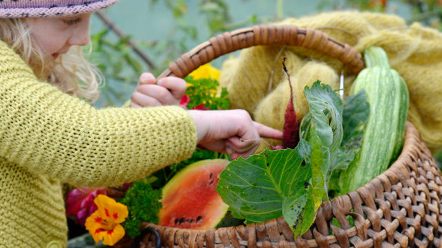 Med årets frönyheter vill vi att fler ska leka i sin odling. Foto: Anna Lindeqvist
