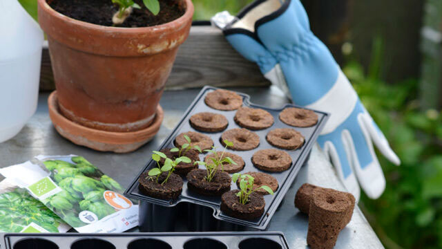 Foto: Markus Danielsson