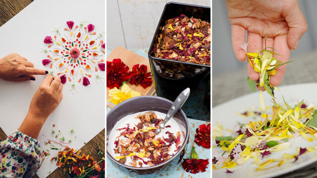 Foto: Katja Ragnstam, Annika Christensen och Lovisa Back