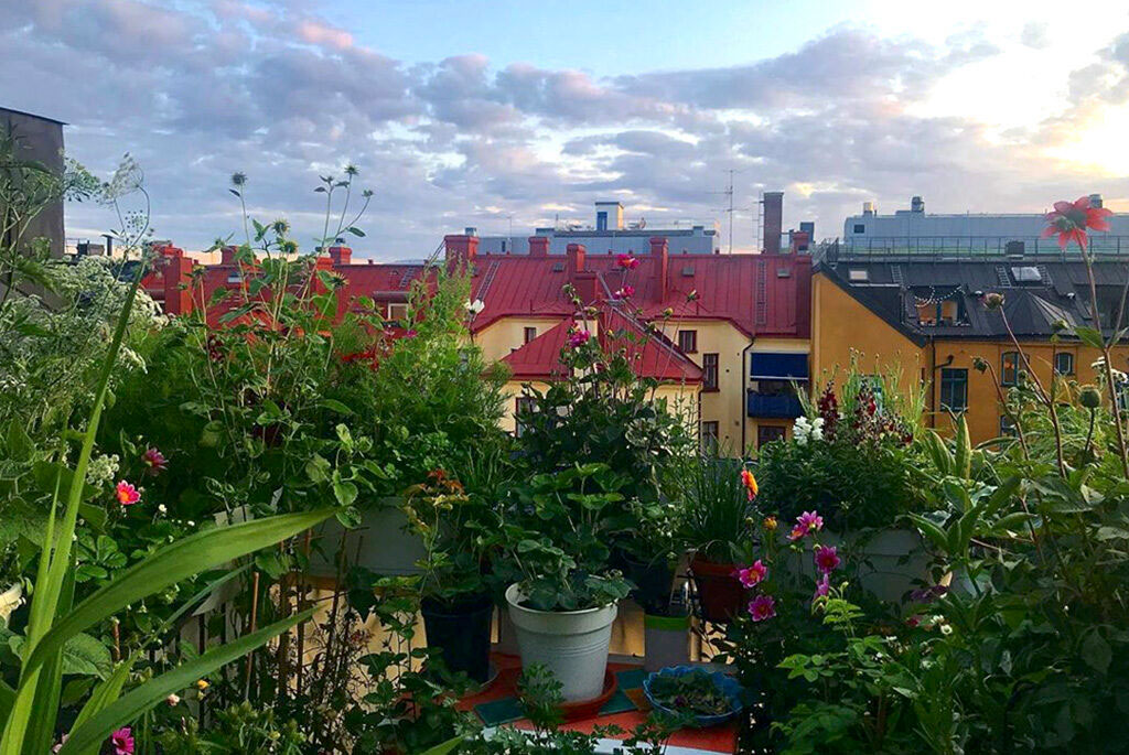 Utsikt från terrassen. Foto: Lars Själander